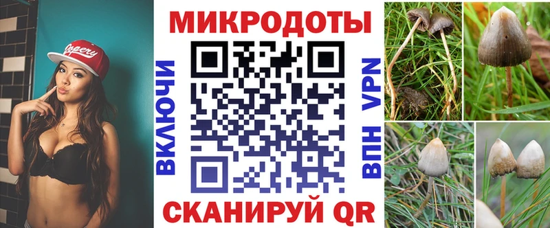 Галлюциногенные грибы Cubensis  закладка  Кузнецк 